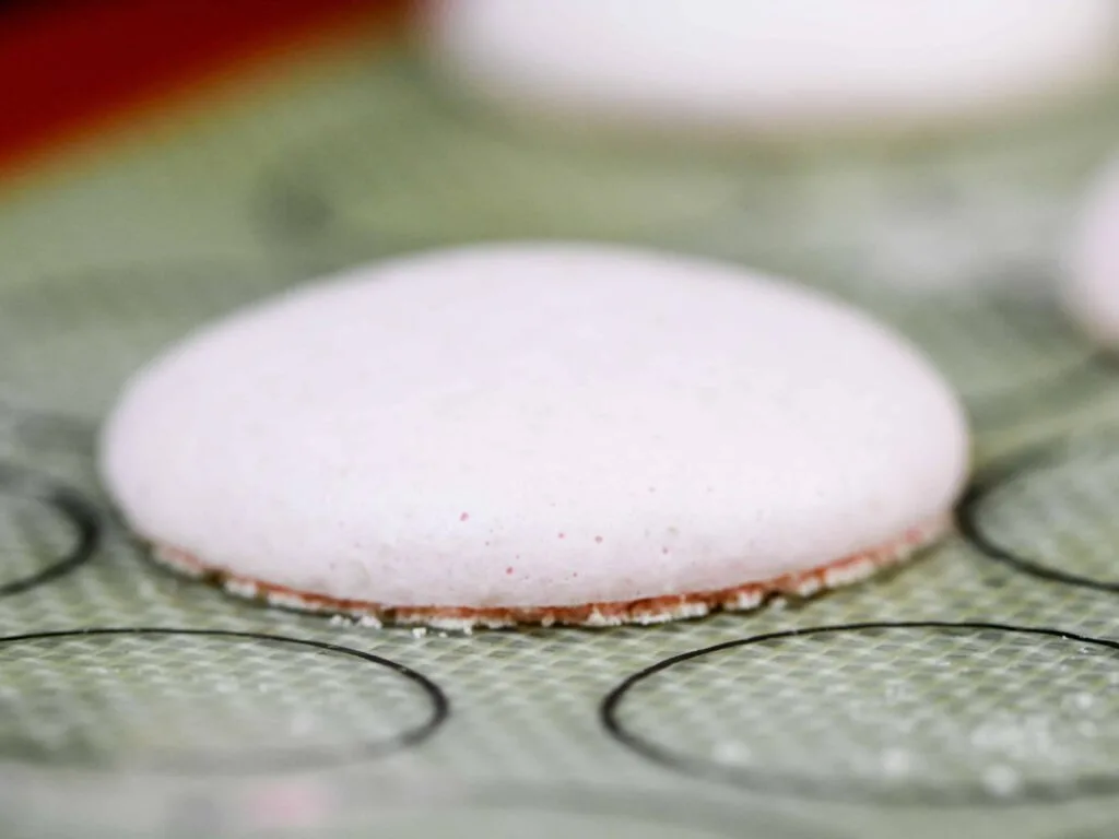 image of a macaron shell baked at too low of a temperature so it didn't develop feet