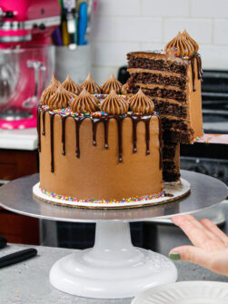 How to Make a Chocolate Drip Cake: Easy Recipe & Video Tutorial