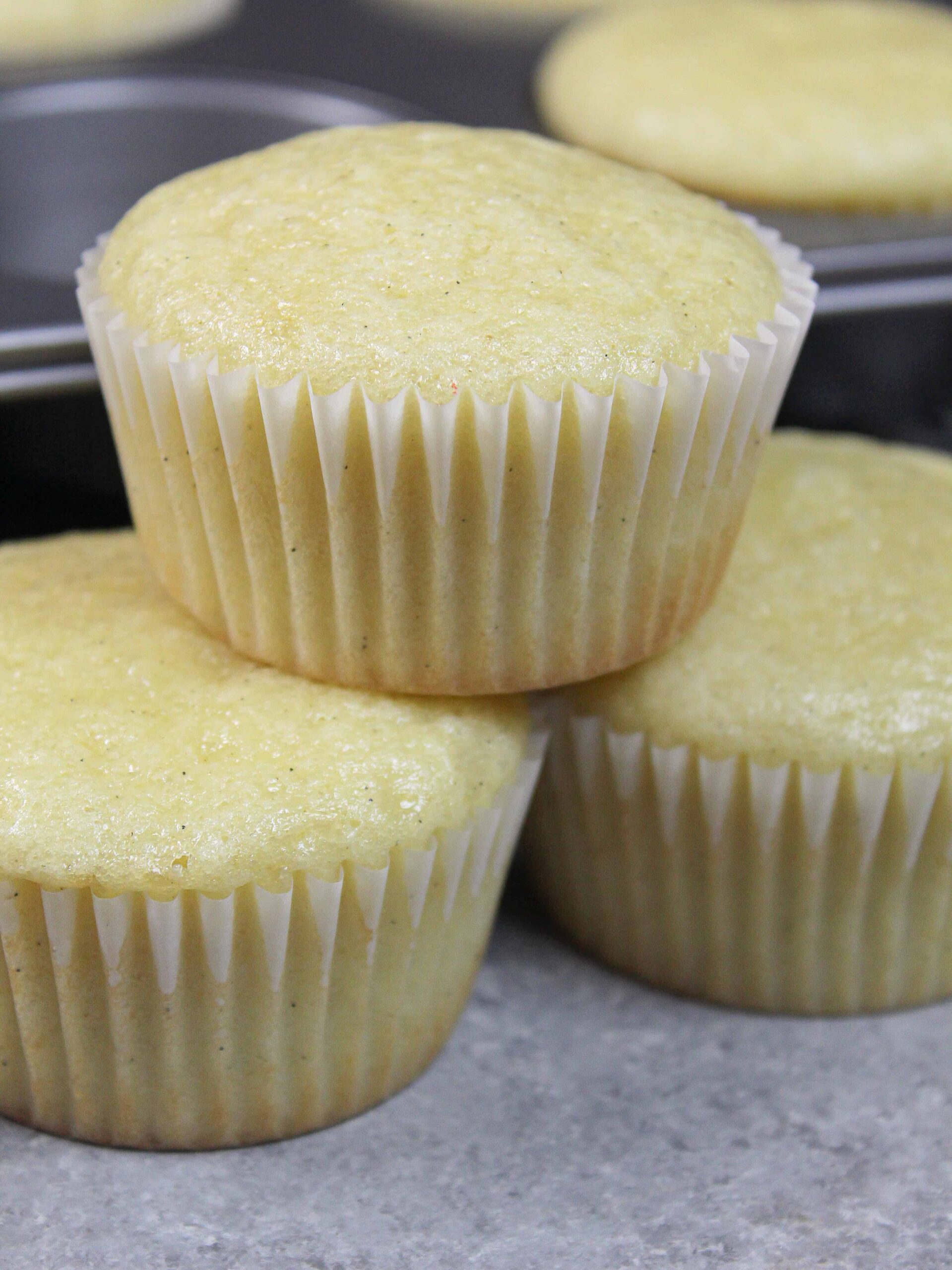 closeup image of moist vanilla cupcakes made with oil that aren't frosted yet