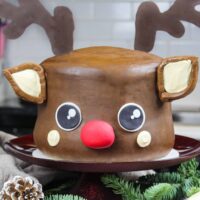 image of rudolph cake frosted with peanut butter chocolate frosting