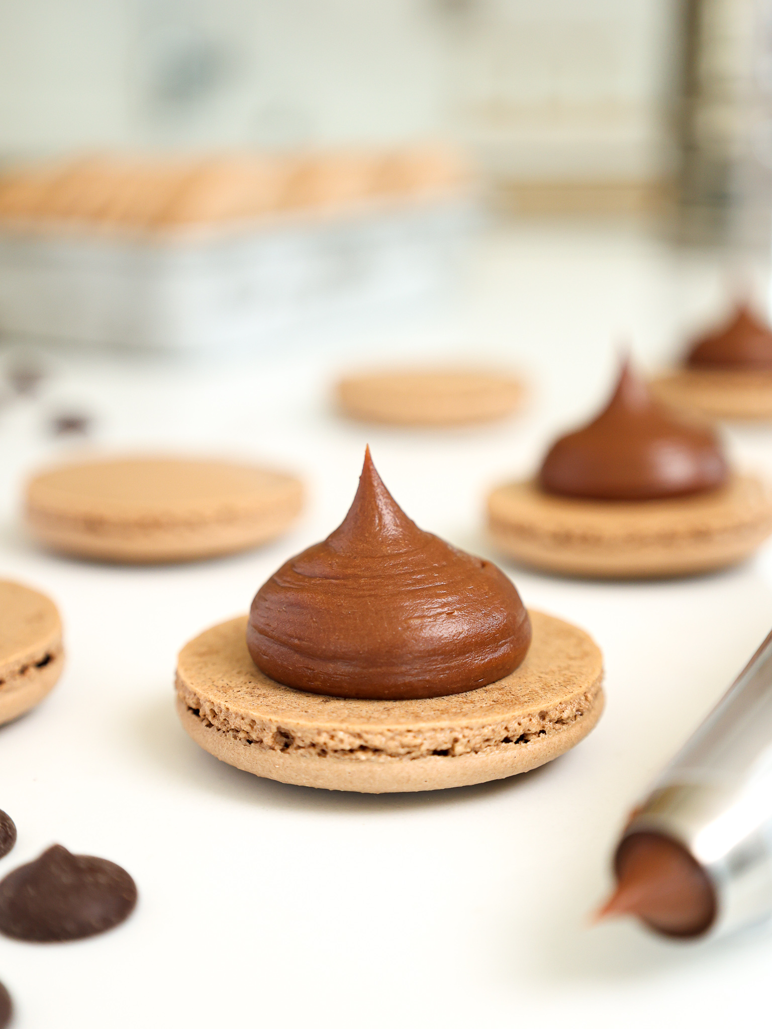 image of a french chocolate macaron being filled with a semi sweet chocolate ganache filling for macarons