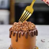 image of a mini chocolate cake that's about the cut into with a fork to show how small it is