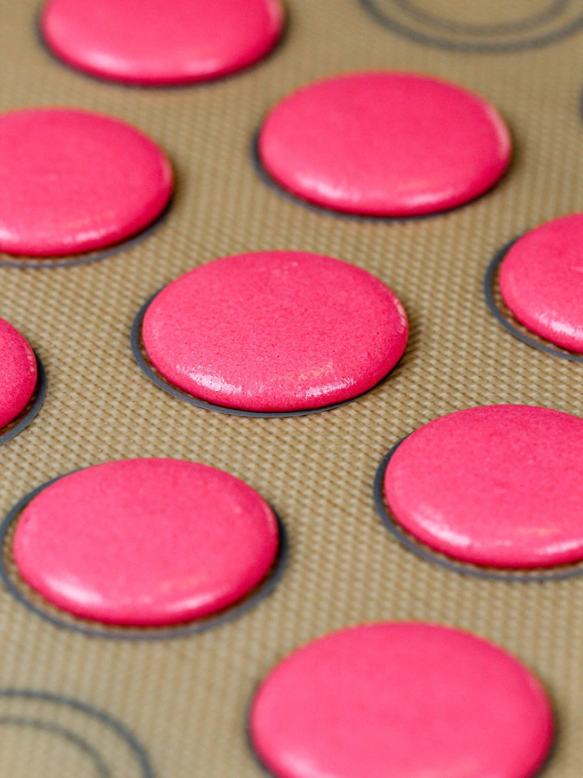 image of pink macaron shells that have rested and formed a skin and are now ready to be baked