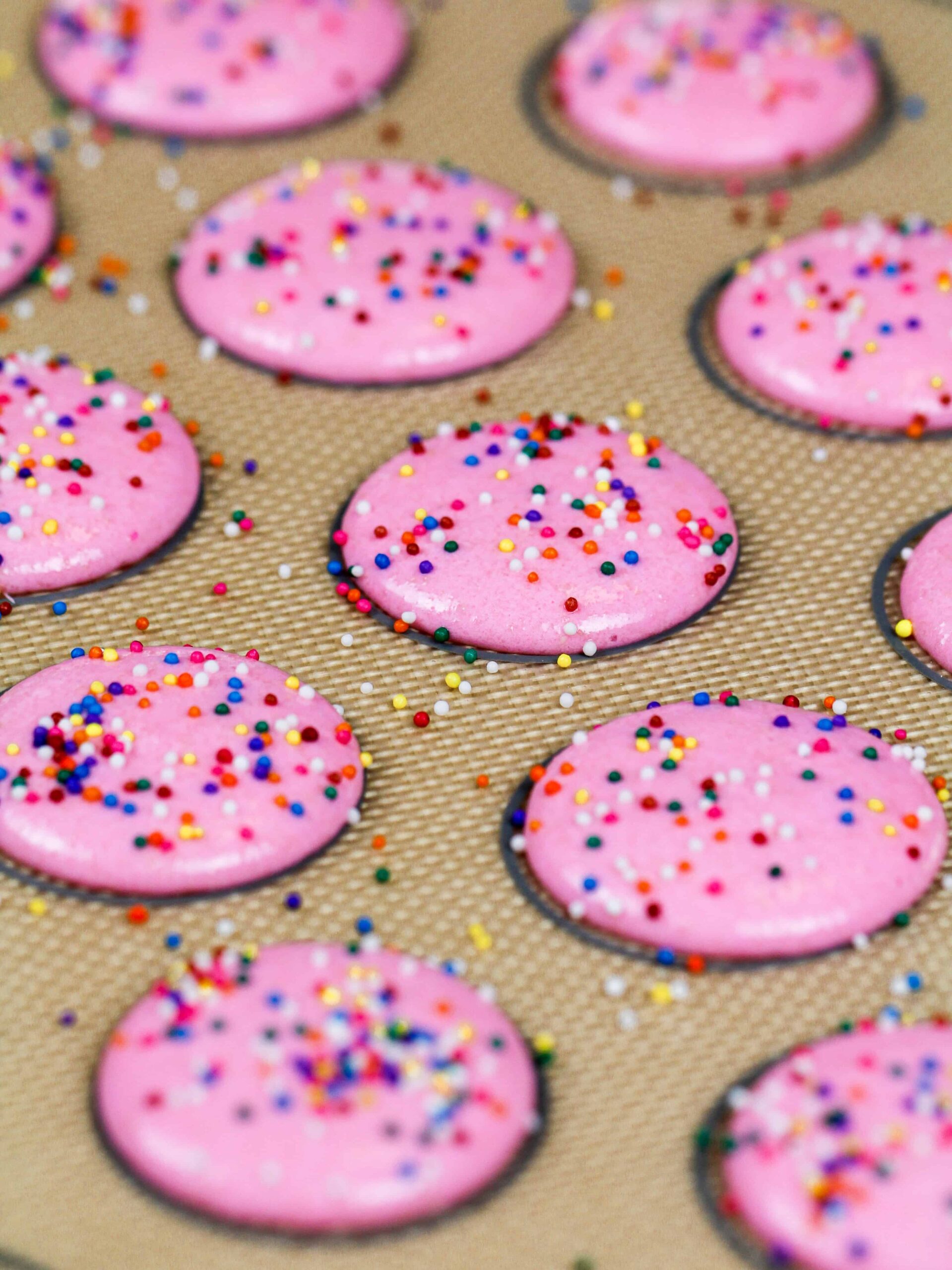 image of birthday cake macaron shells that have been topped with nonpareil sprinkles