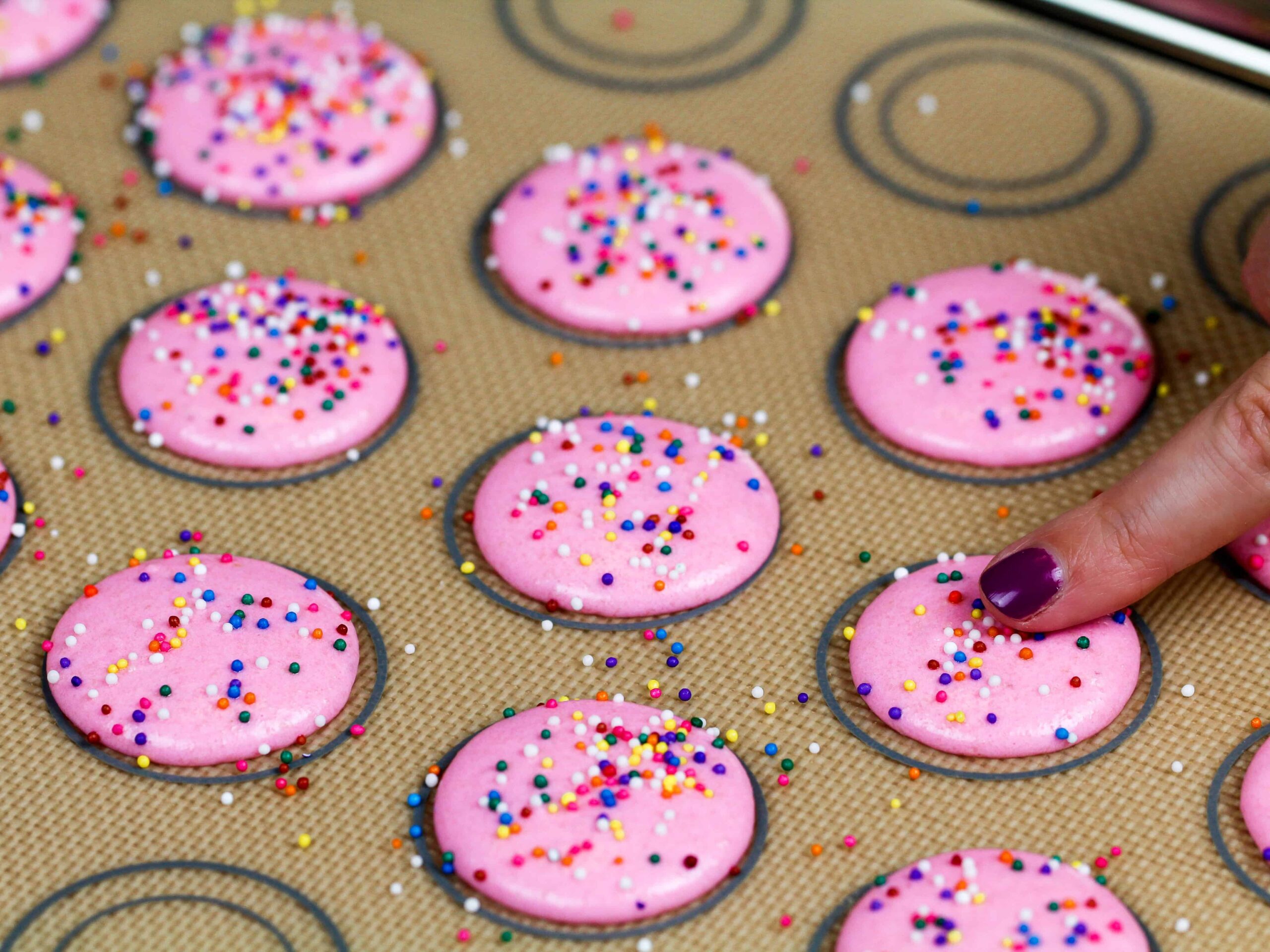 image of birthday cake macaron shells that have been topped with nonpareil sprinkles and have rested before being baked