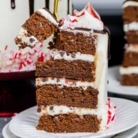 image of a slice of peppermint mocha cake being cut into with a fork