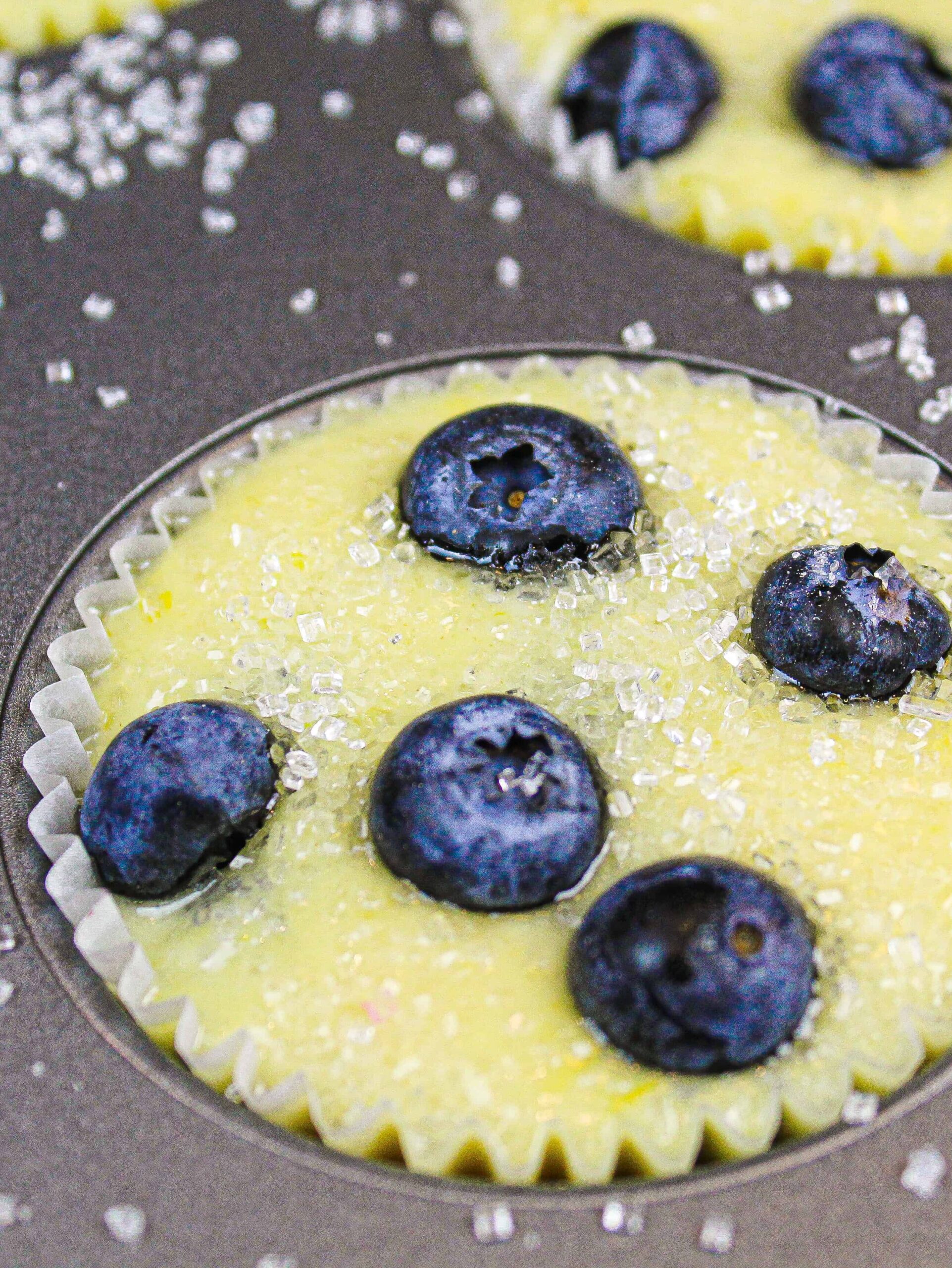 image of lemon blueberry muffin batter in pan, ready to be baked