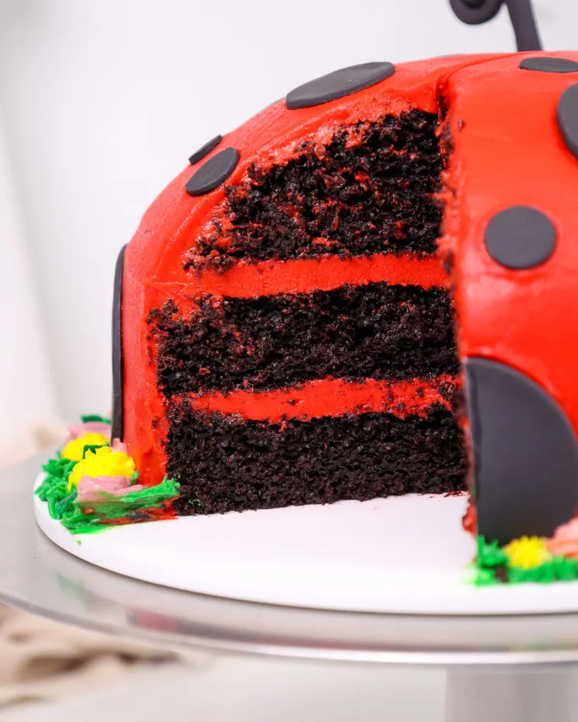 image of a lady bug cake that's been cut into to show it's dark cocoa cake layers and red buttercream frosting