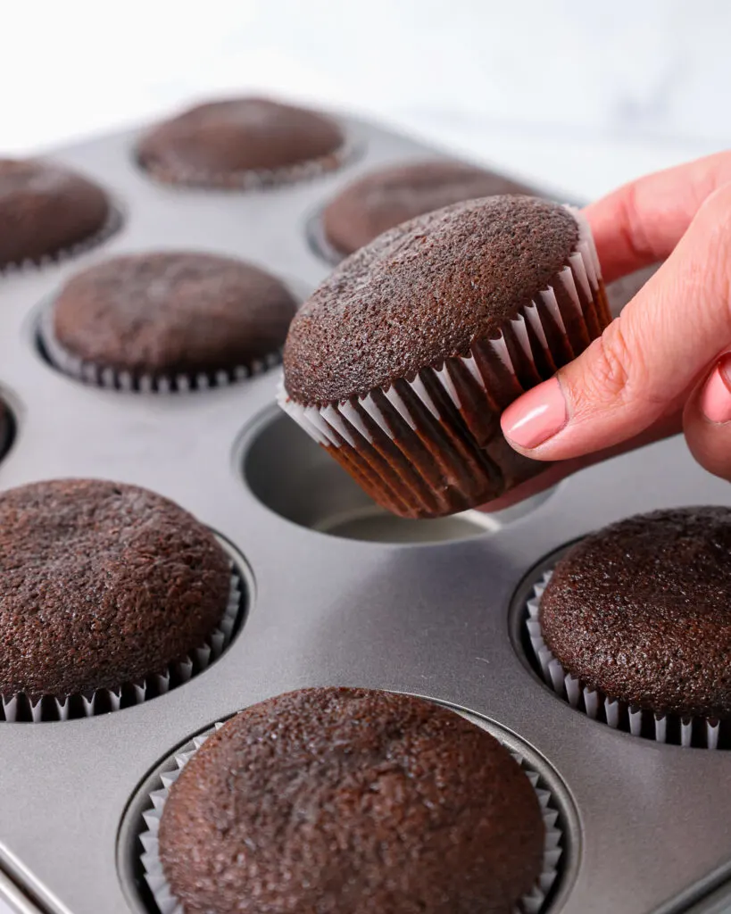 image of a moist chocolate cupcake being held up to show how nicely baked it is