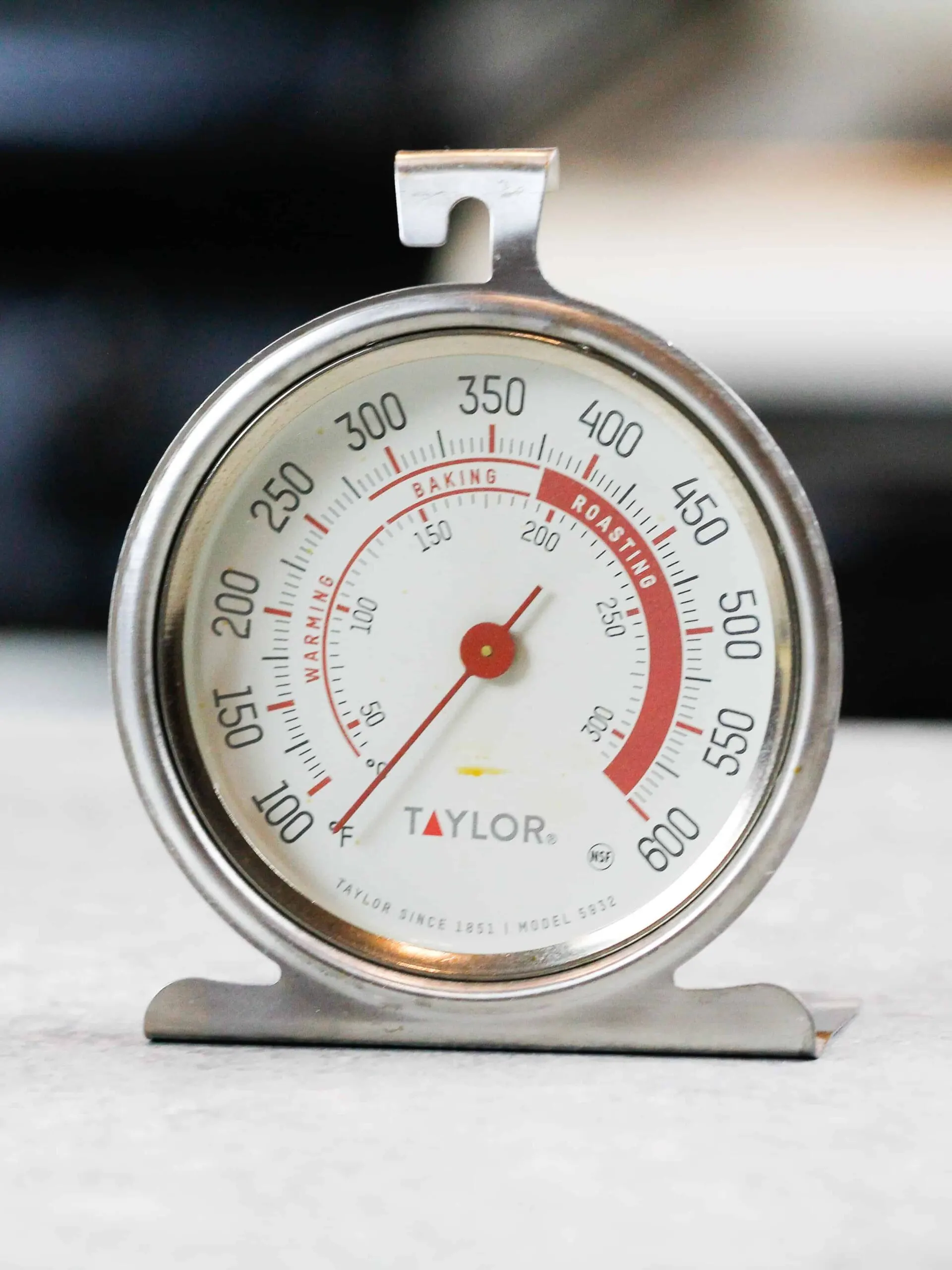 image of an oven thermometer being used to make sure an oven bakes accurately