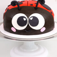 image of a lady bug cake that's been decorated with buttercream and fondant