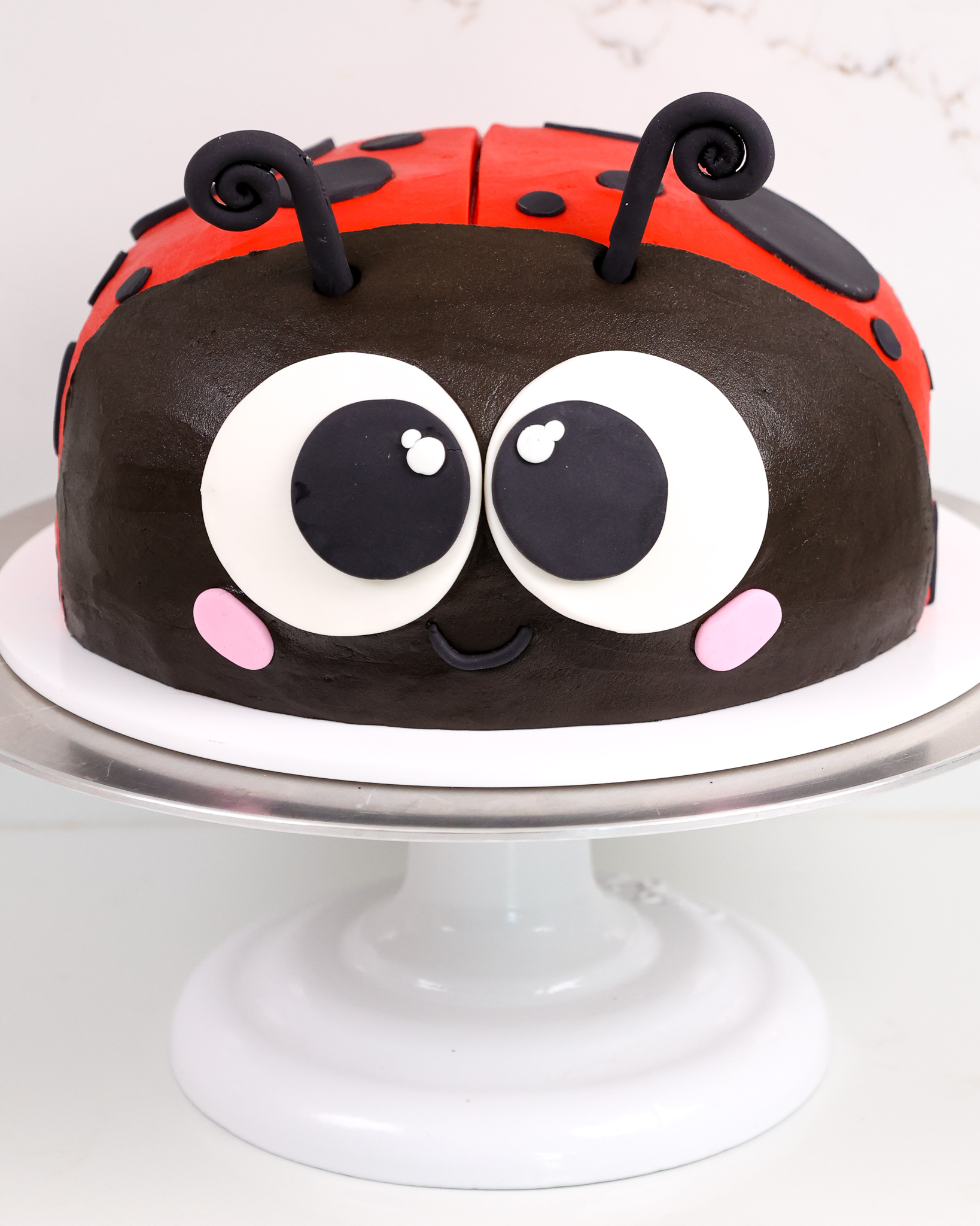 A Ladybird Dot Birthday Cake | Ferguson Plarre's Bakehouse