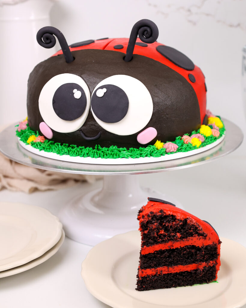 image of a lady bug cake that's been cut into with a slice of dark chocolate cake on a plate