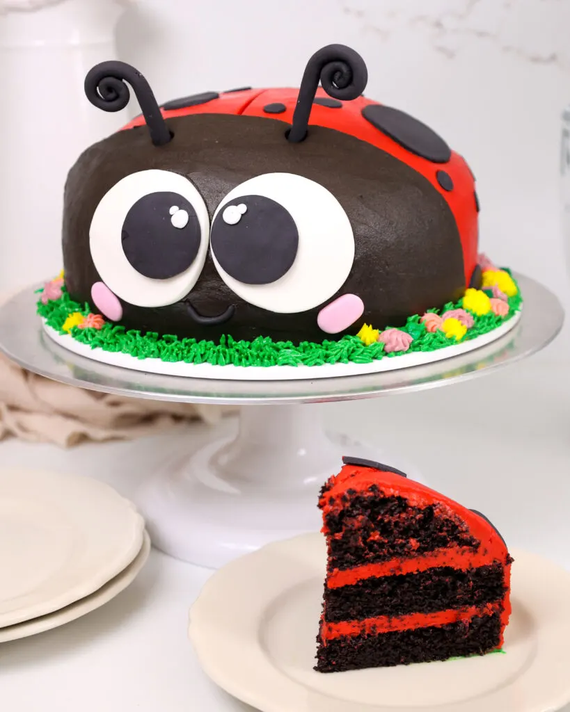 131 Ladybug Birthday Cake Cake Stock Photos - Free & Royalty-Free Stock  Photos from Dreamstime