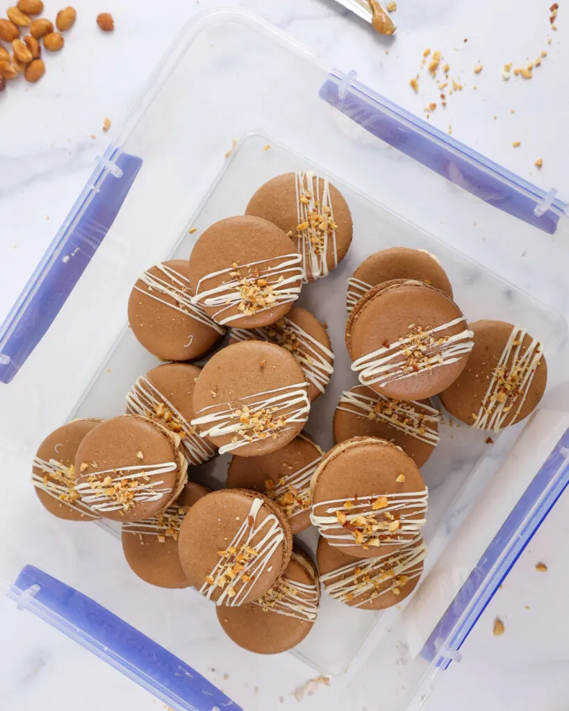 image of peanut butter macarons being stored in an airtight container before being placed in the fridge to mature overnight