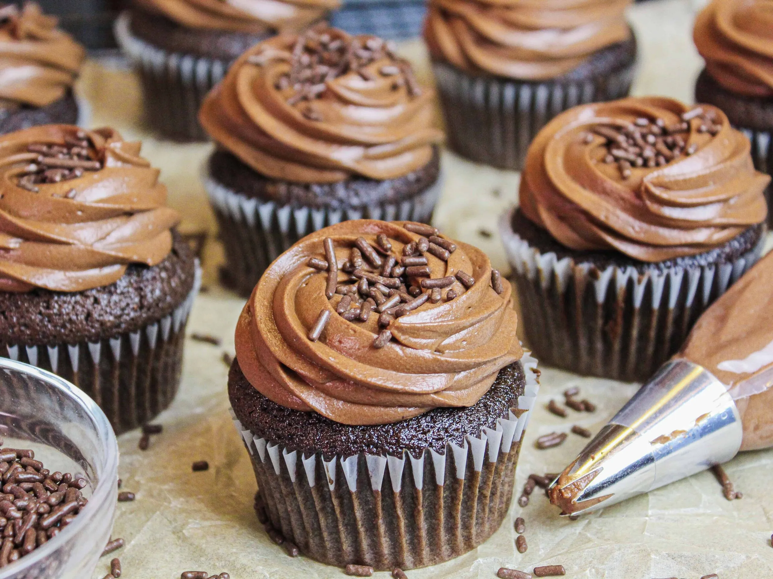 image of chocolate cupcakes frosted with chocolate russian buttercream