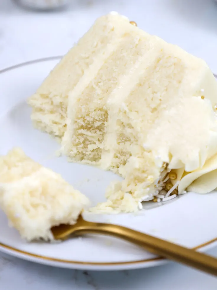 image of a slice of WASC cake on a plate that's been cut into to show how moist it is