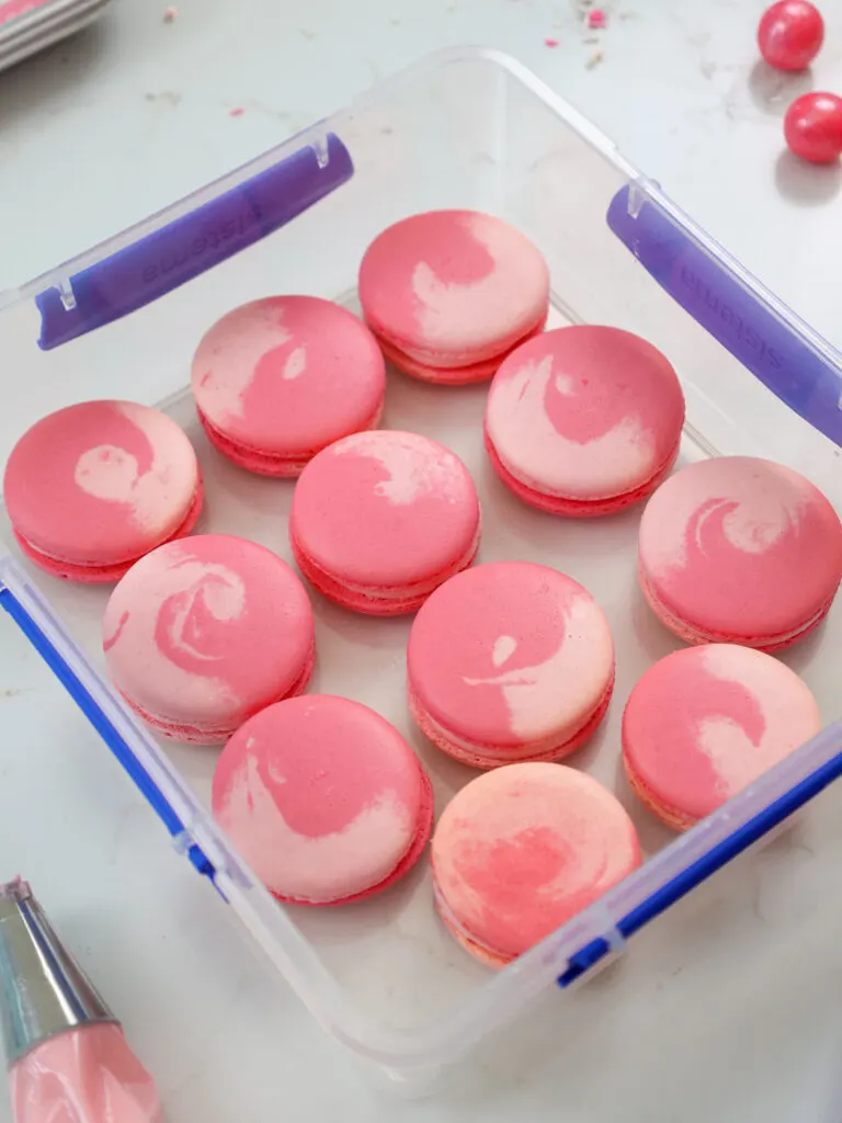 image of bubblegum macarons that have been placed in an airtight container to be rested overnight
