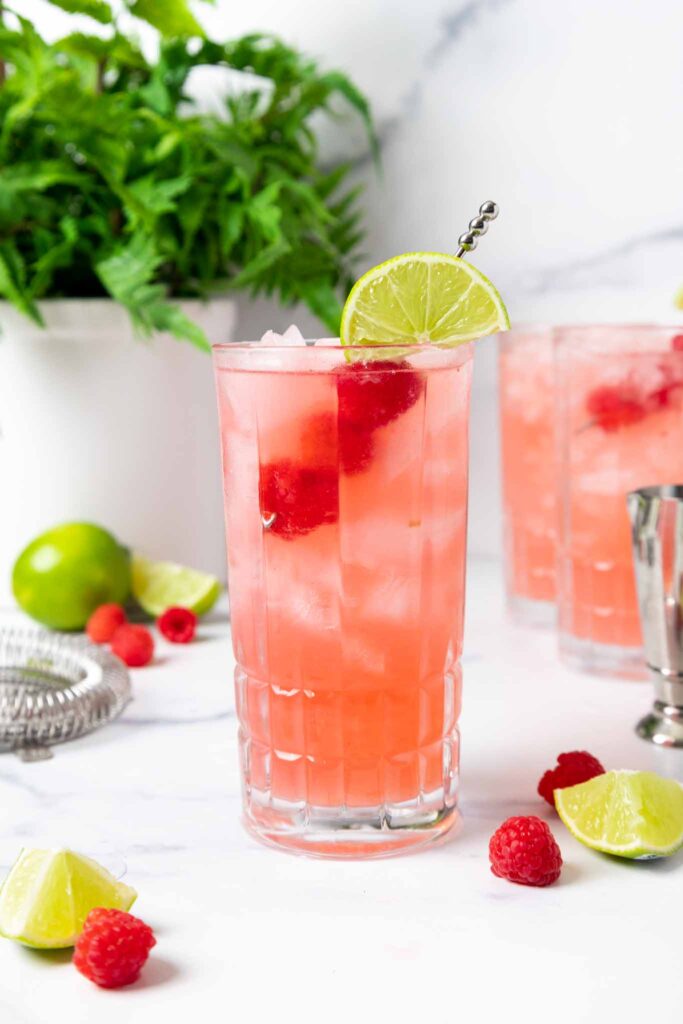 image of a floradora cocktail that's been garnished with a lime wedge and fresh raspberries
