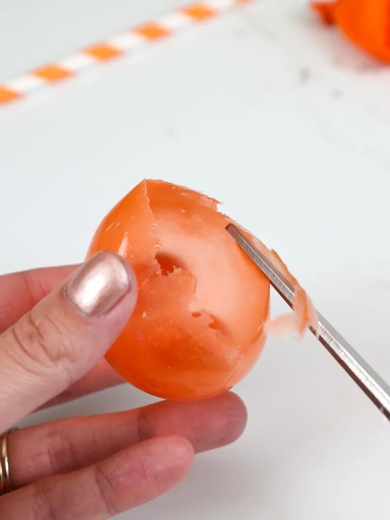 image of a gelatin bubble being trimmed with sharp scissors to remove its jagged edges