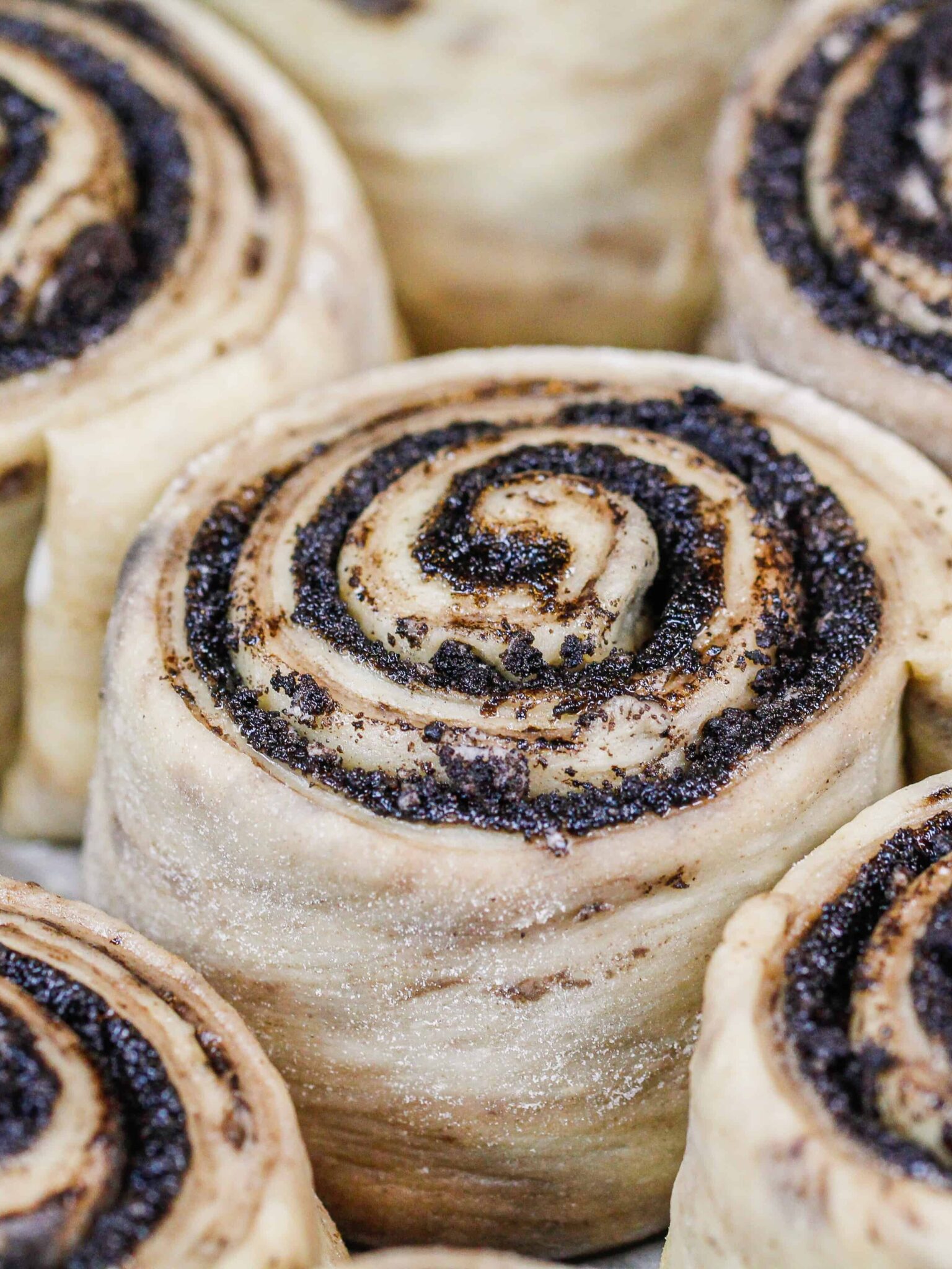 Oreo Cinnamon Rolls: Fluffy Cinnamon Rolls w/ Chocolate Filling