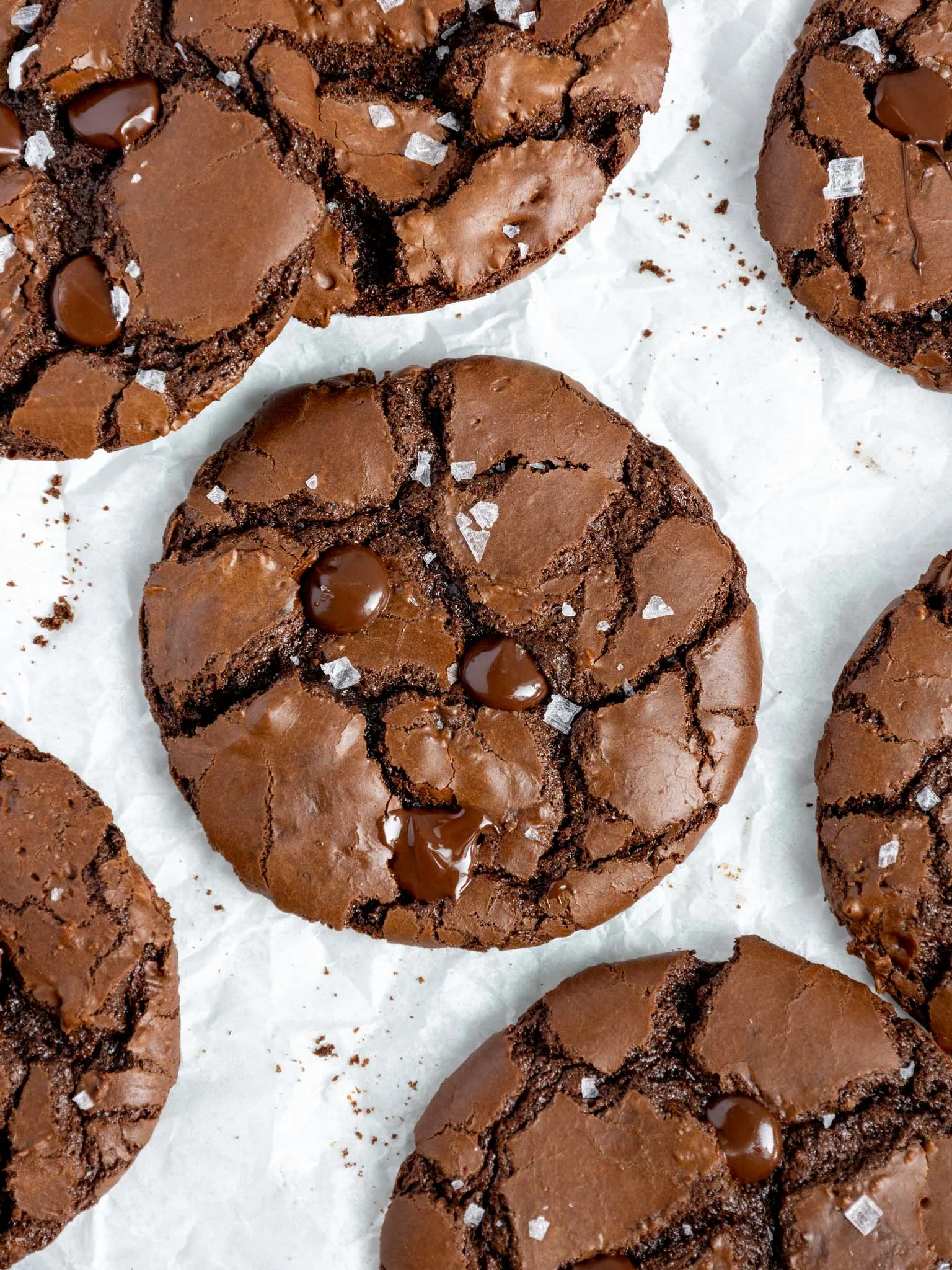 image of brownie crinkle cookies that are cooling on parchment paper