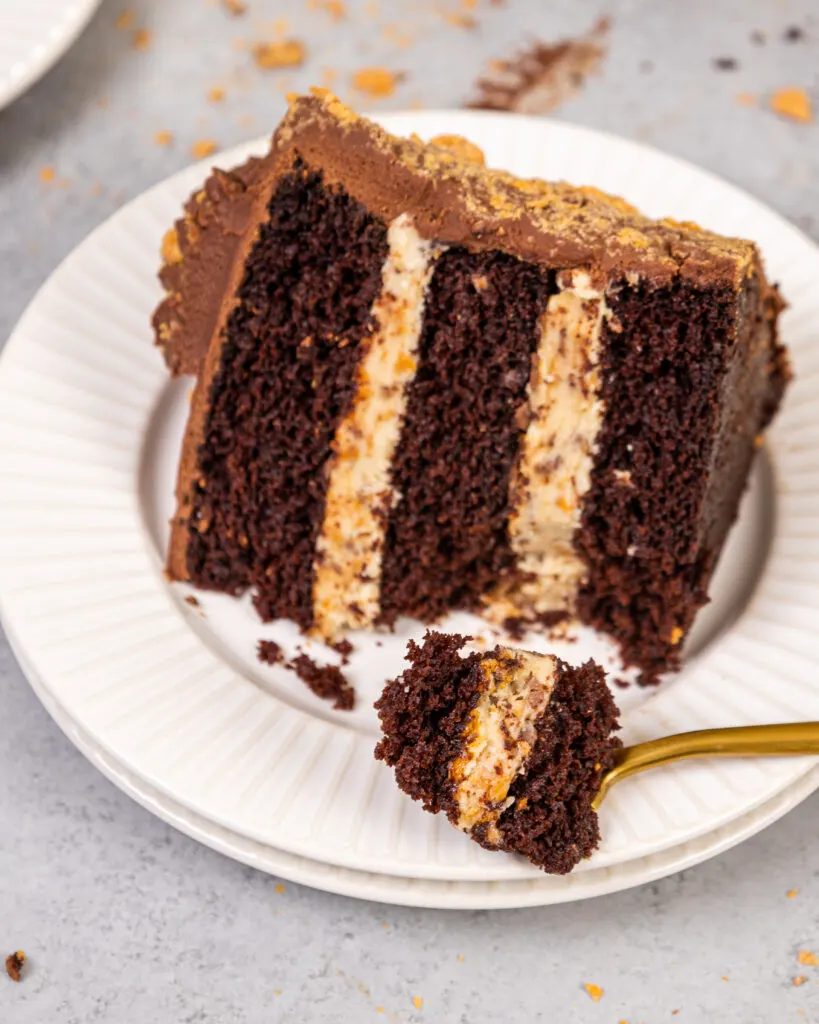 image of a slice of chocolate cake that's been filled with peanut butter cream cheese frosting