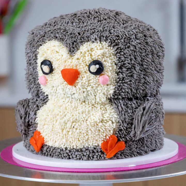 Penguin Cake: Delicious Recipe w/ Video Tutorial