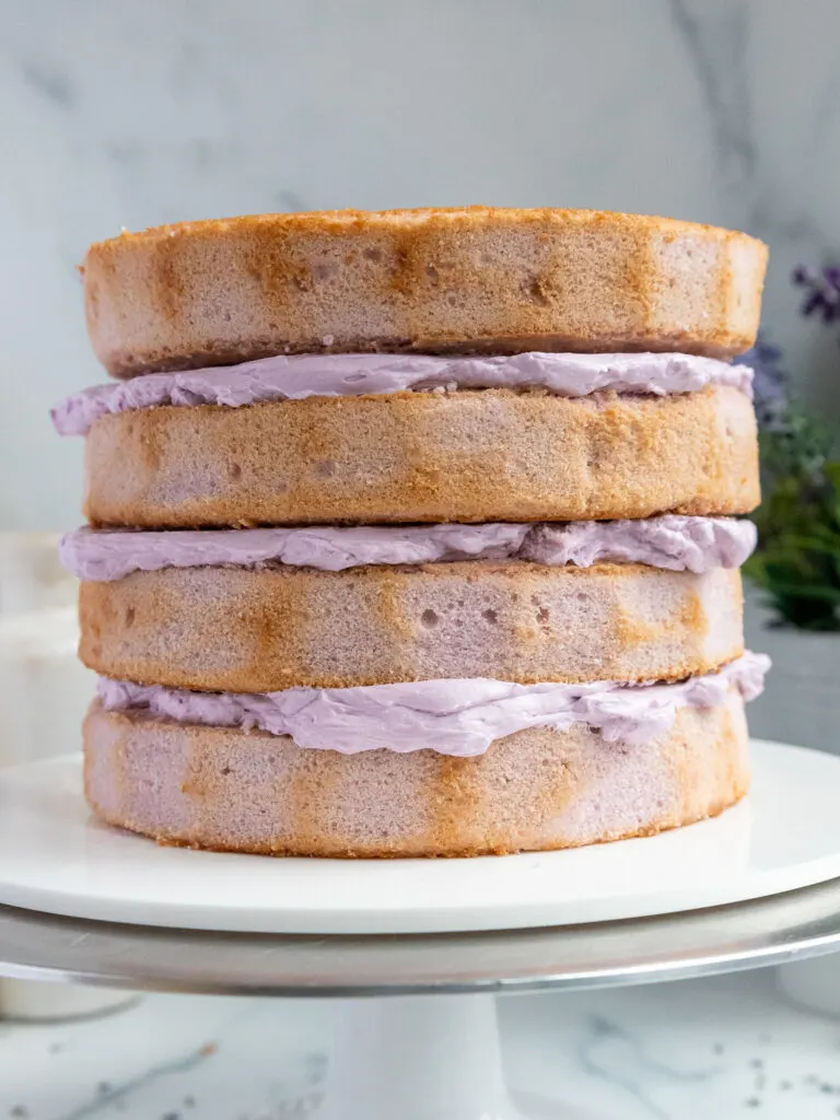 image of earl grey lavender cake layers that have been stacked and filled with buttercream frosting