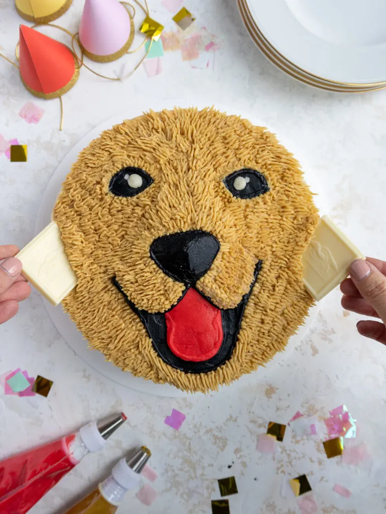 image of white chocolate square being pushed into the sides of a golden retriever cake to make its ears