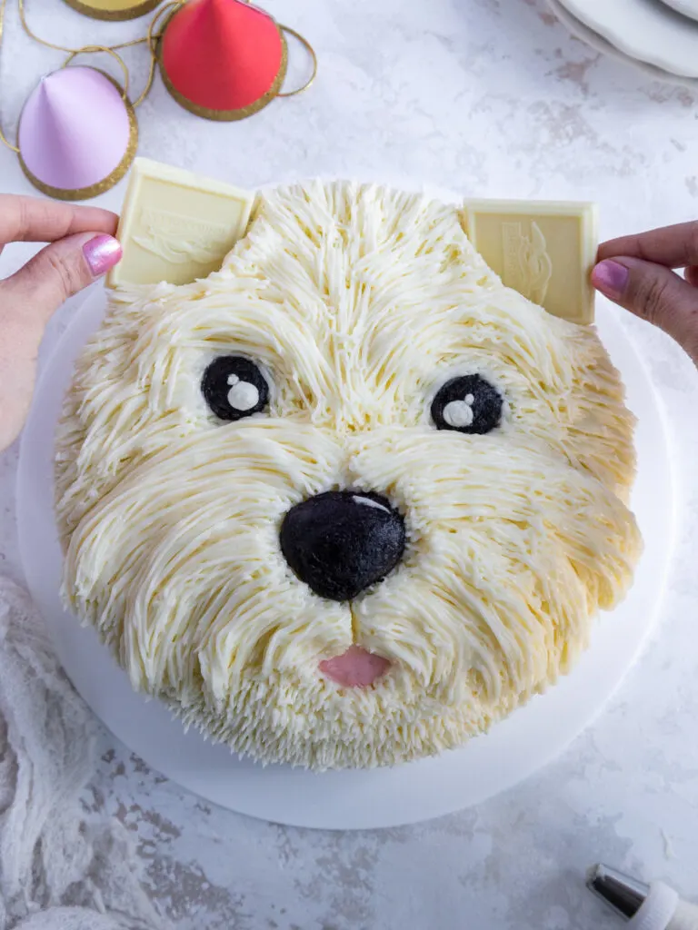 image of white chocolate squares being added to a westie cake to make its ears