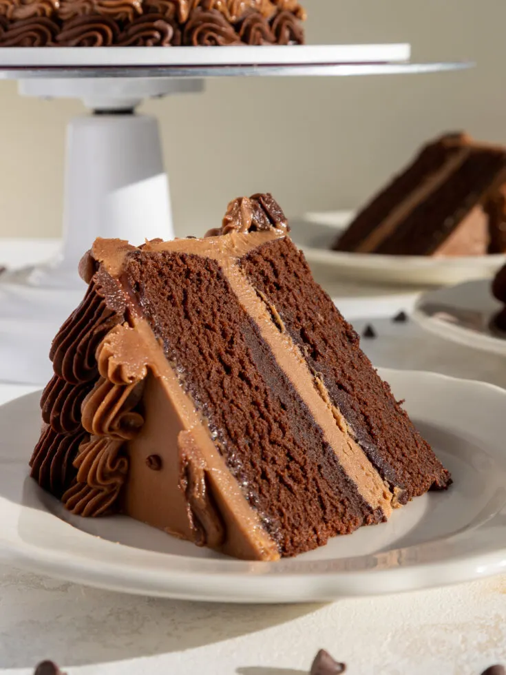 image of a slice of chocolate buttermilk cake a plate