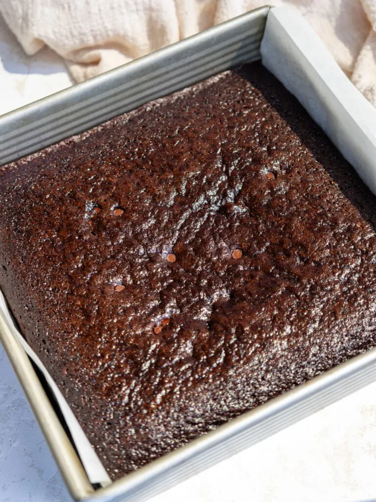 image of a chocolate snack cake that's been baked in a square 8-inch pan