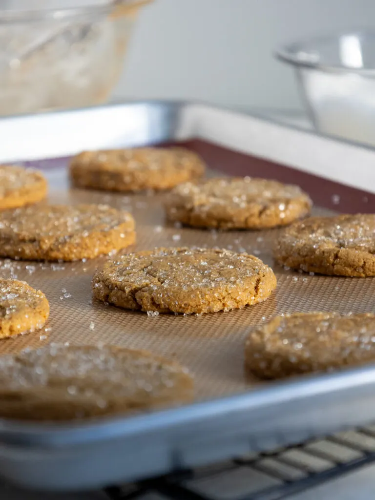 image of gingerbread cookies that have been baked and are cooling on the baking pan