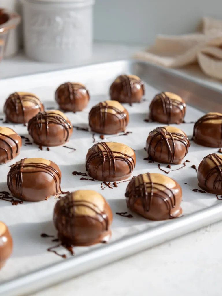 image of cute buckeyes that have been drizzled with dark chocolate