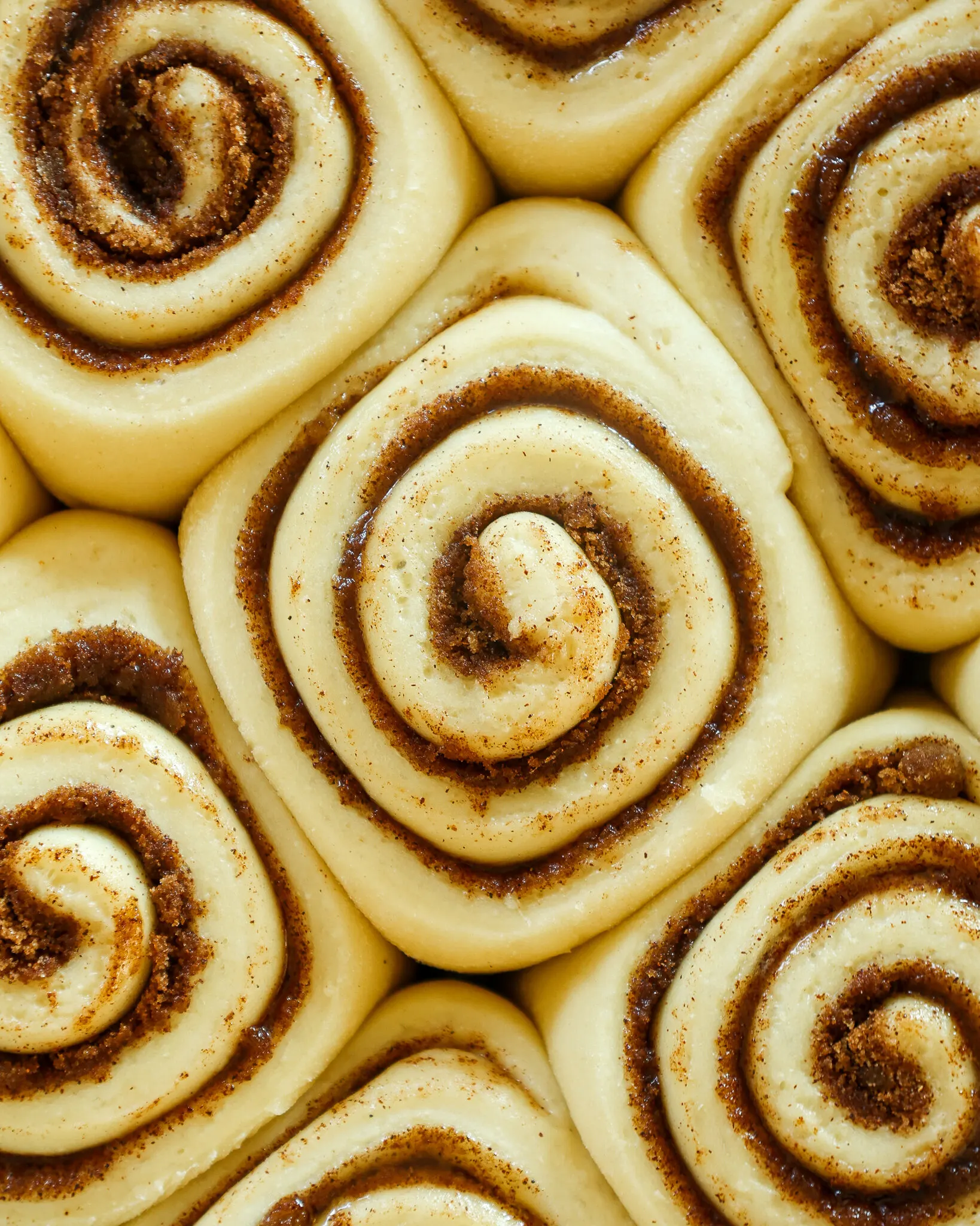 image of quick yeast cinnamon rolls that have risen and are ready to be baked
