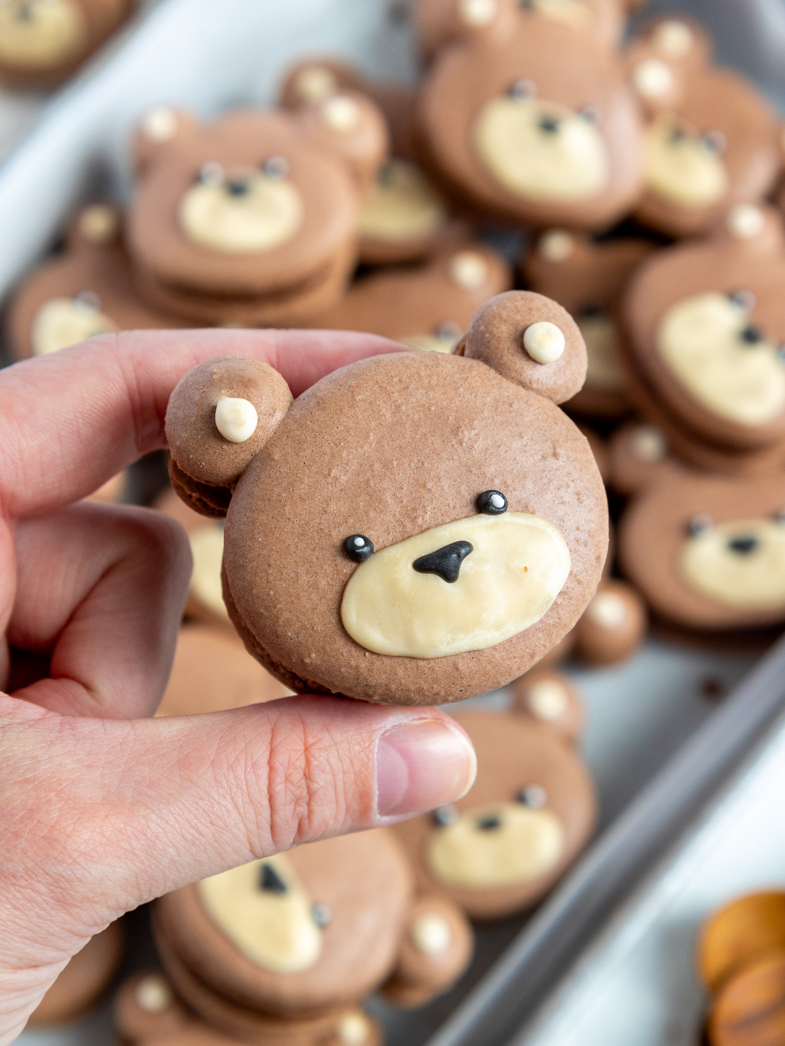 image of a cute teddy bear macaron being held up to show it's details
