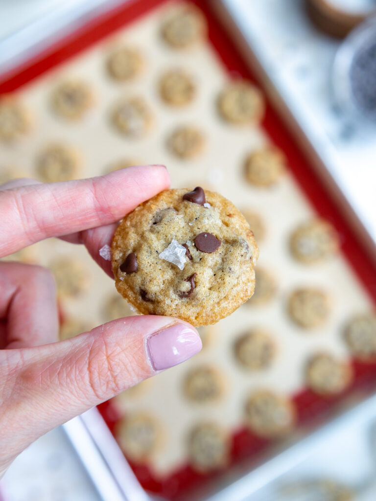 image of a mini chocolate chip cookie being held up to show how small it is