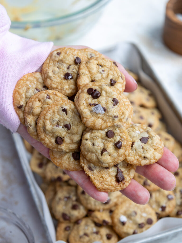 image of mini chocolate chip cookies being held in a hand