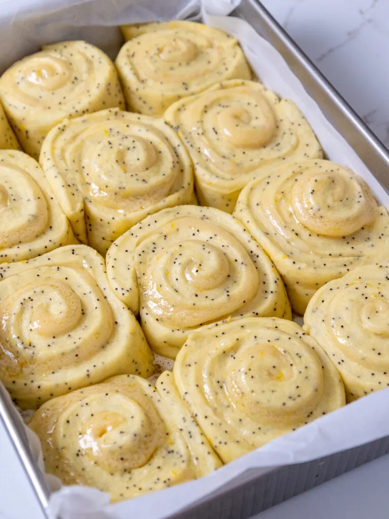 image of lemon poppyseed rolls that have risen and are ready to be baked