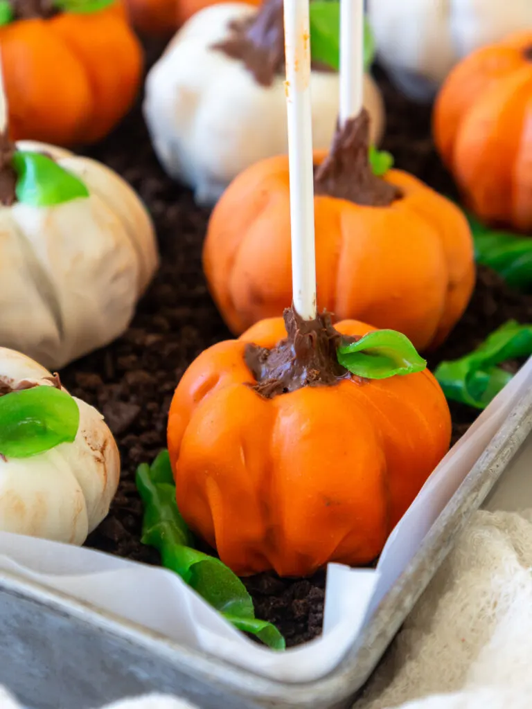 image of pumpkin cake pops sitting in a tray filled with oreo crumbs to look like a pumpkin patch