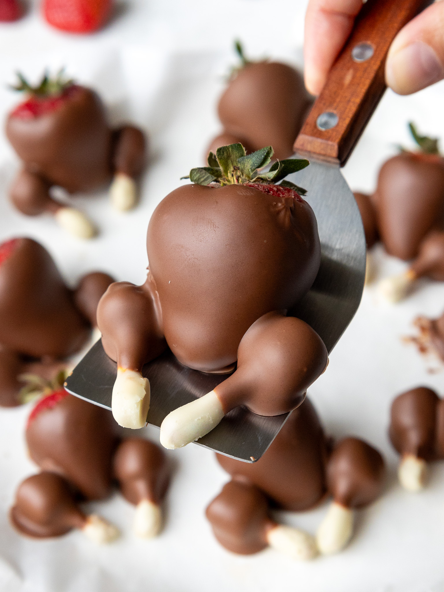 image of a chocolate covered strawberry turkey