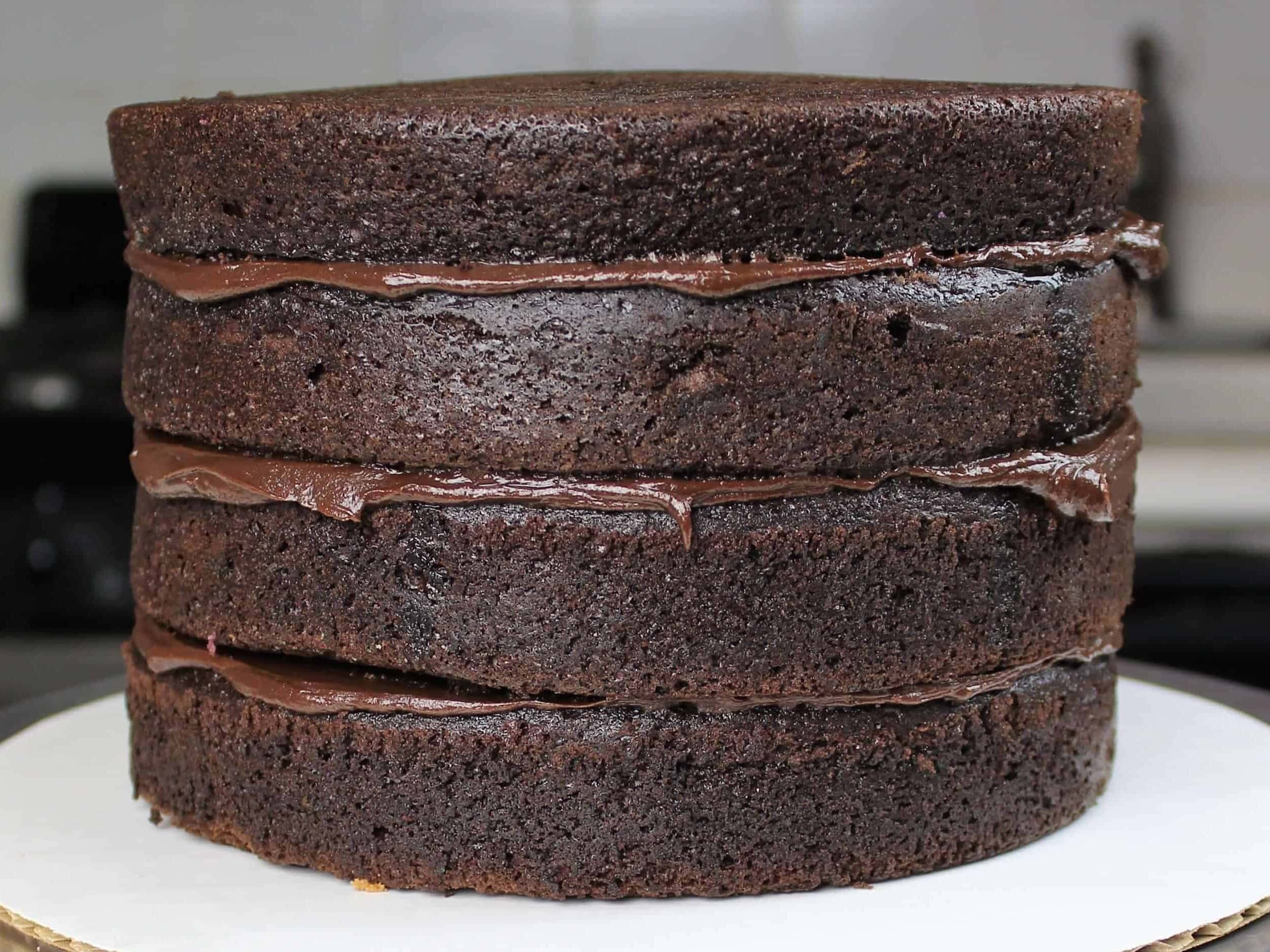 Photo of chocolate sponge cake recipe