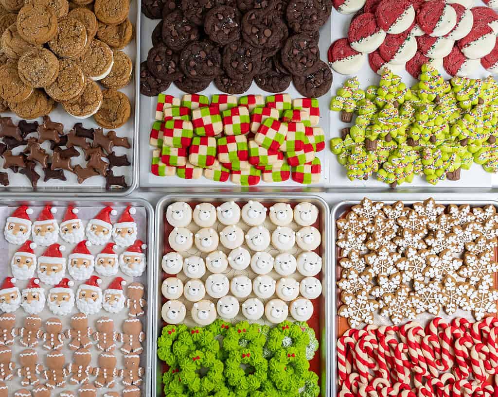 image of 12 different types of cookies that have been made for chelsweets 2025 Christmas cookie boxes
