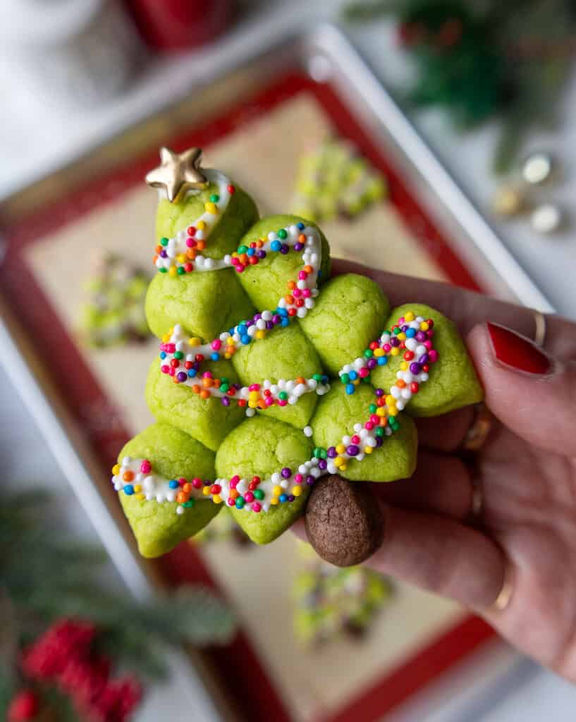 image of a christmas tree cookie being held up to show it's details
