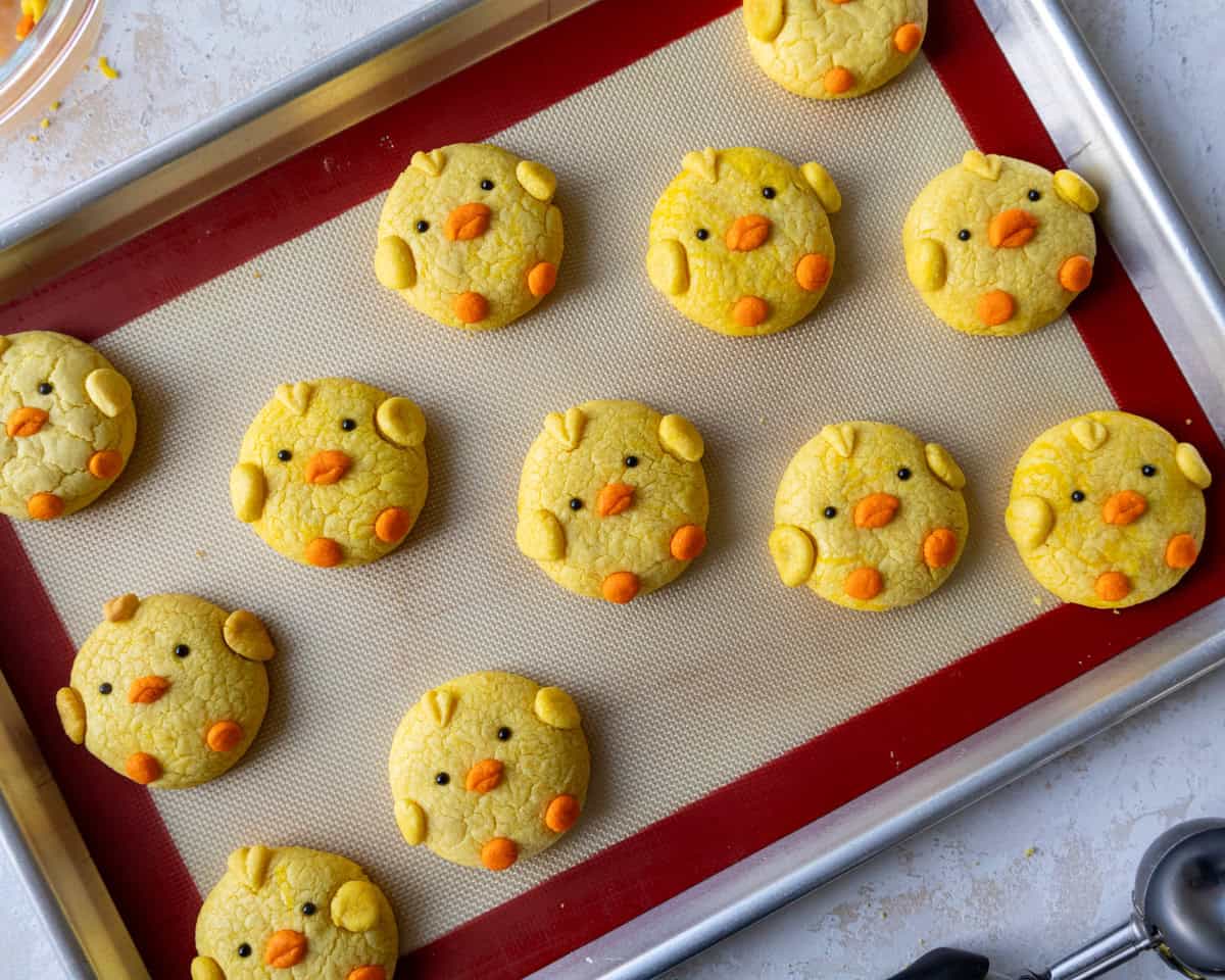 image of a cute chick cookies made for Easter