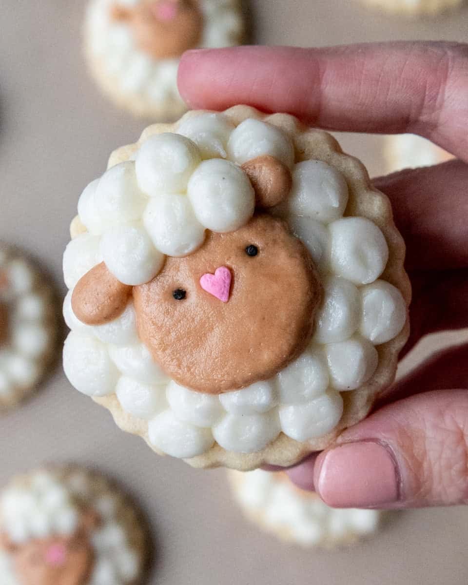 image of a cute easter sheep cookie that's been decorated with buttercream