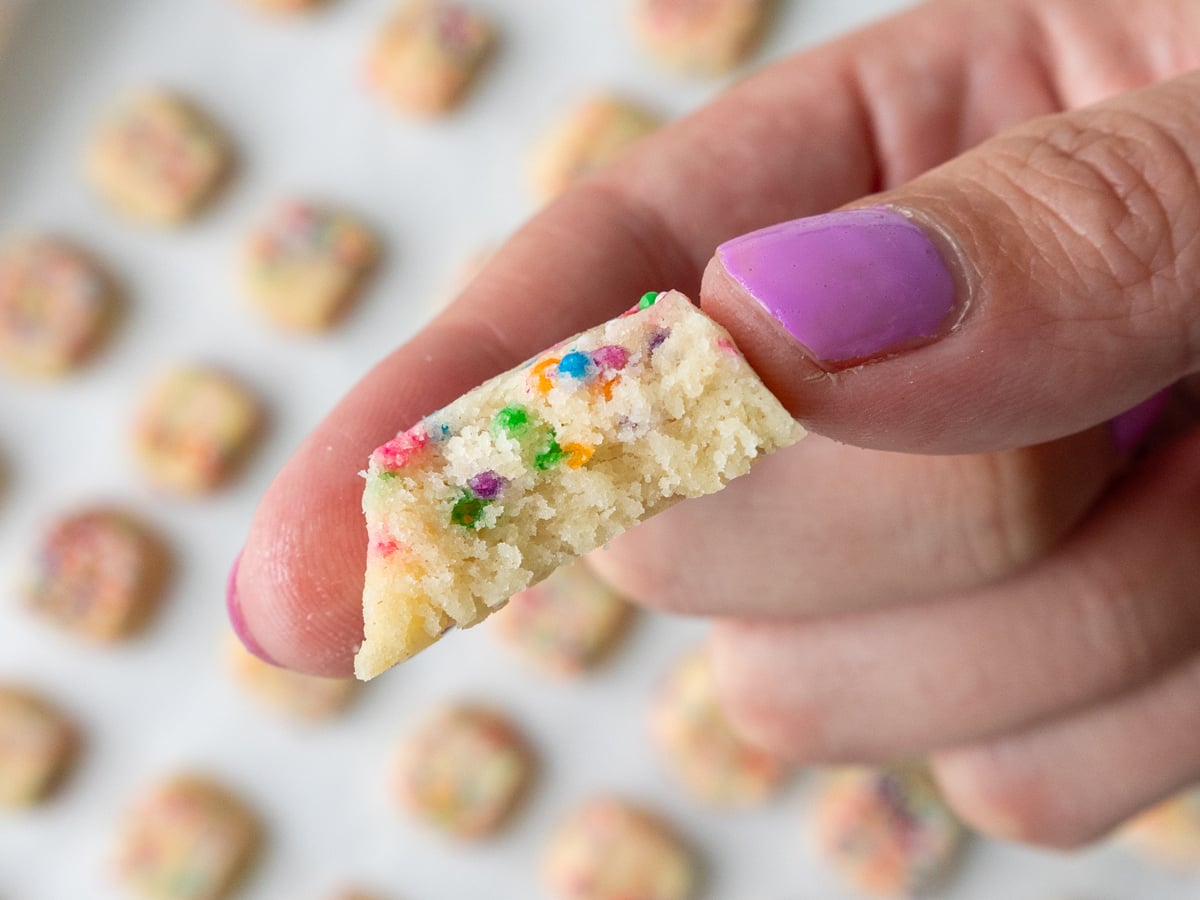 image of a funfetti shortbread bite that's been bitten in to