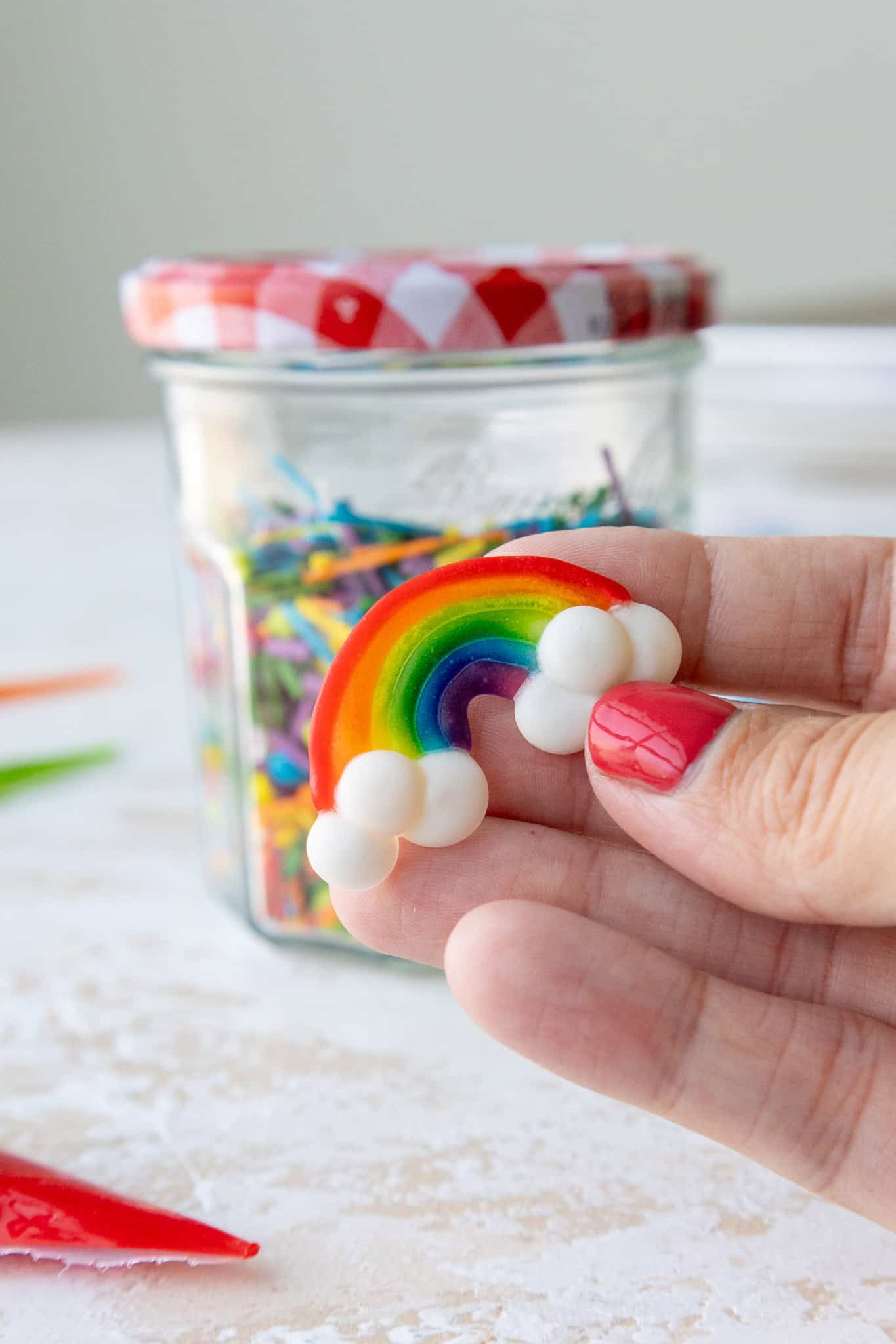 image of a custom rainbow being held up