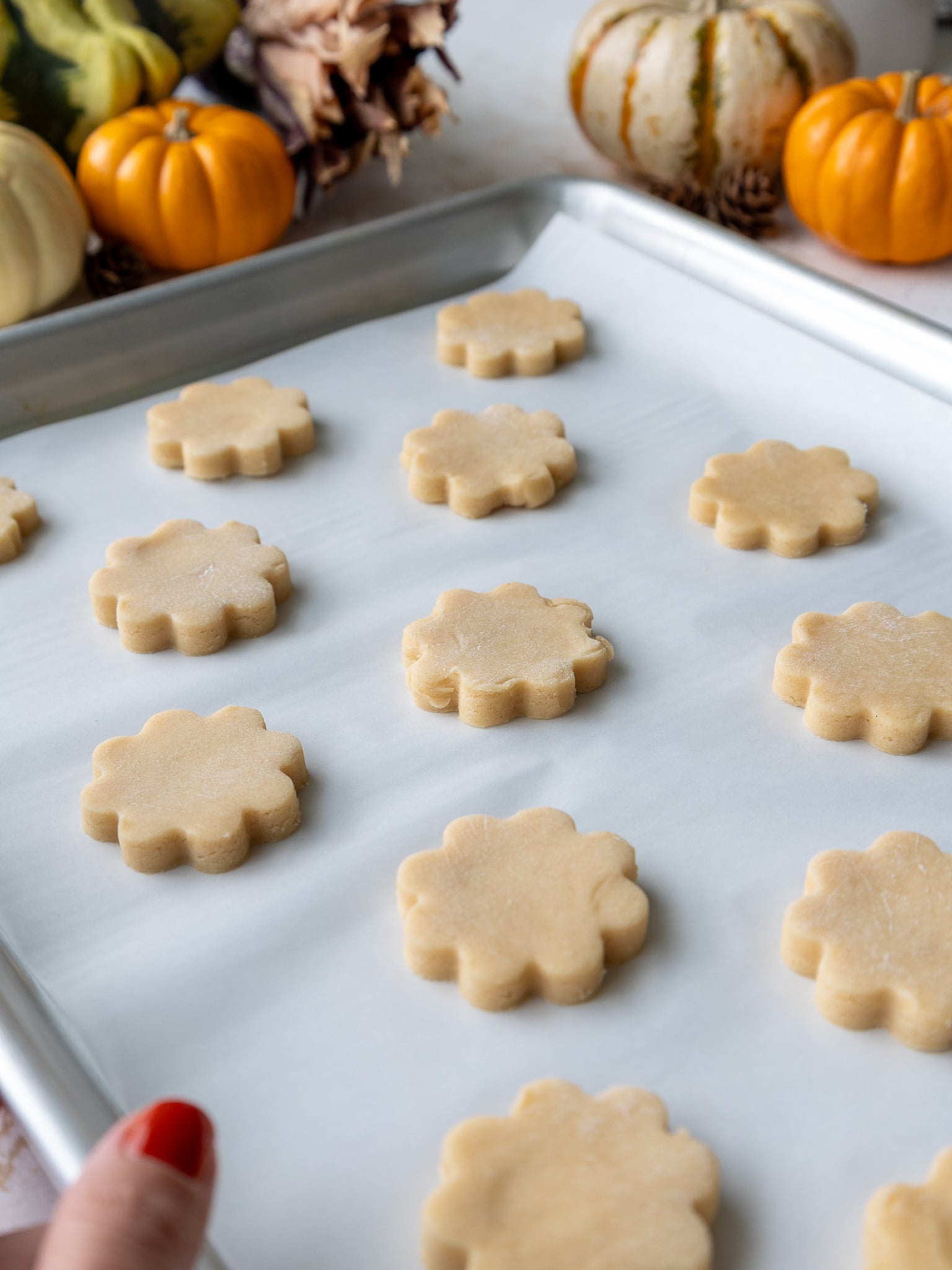 image of flower-shaped cream cheese sugar cookies on a lined baking sheet before baking
